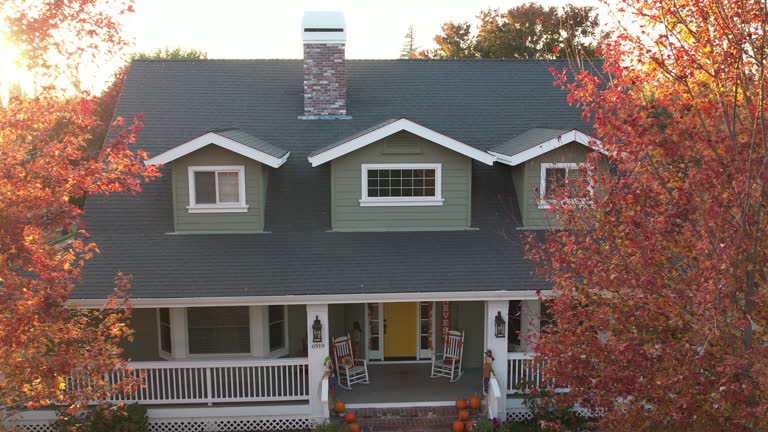 Best Chimney Flashing Repair  in Lake Arbor, MD