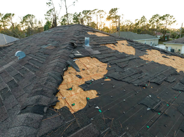 Best Asphalt Shingle Roofing  in Lake Arbor, MD