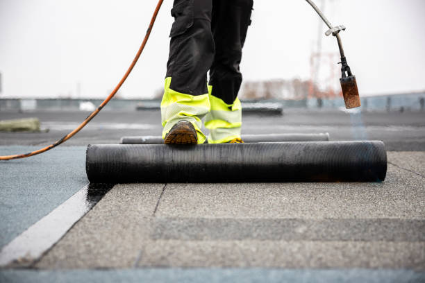 Best Rubber Roofing (EPDM, TPO)  in Lake Arbor, MD