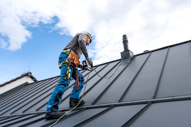 Best Cold Roofs  in Lake Arbor, MD