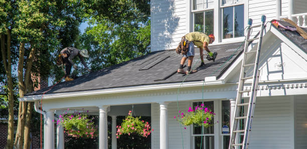 Best Roof Ventilation Installation  in Lake Arbor, MD